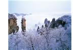 春節(jié)旅游：張家界、袁家界、天子山、寶峰湖/黃龍洞度假二晚三日游